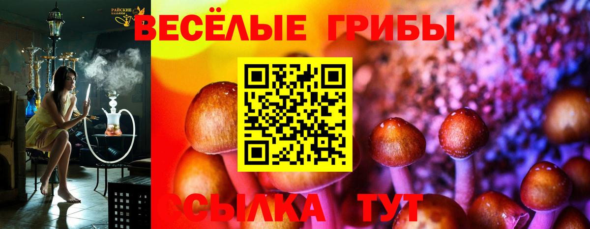 Псилоцибиновые грибы MAGIC MUSHROOMS  Вход с VPN  Сосновоборск 