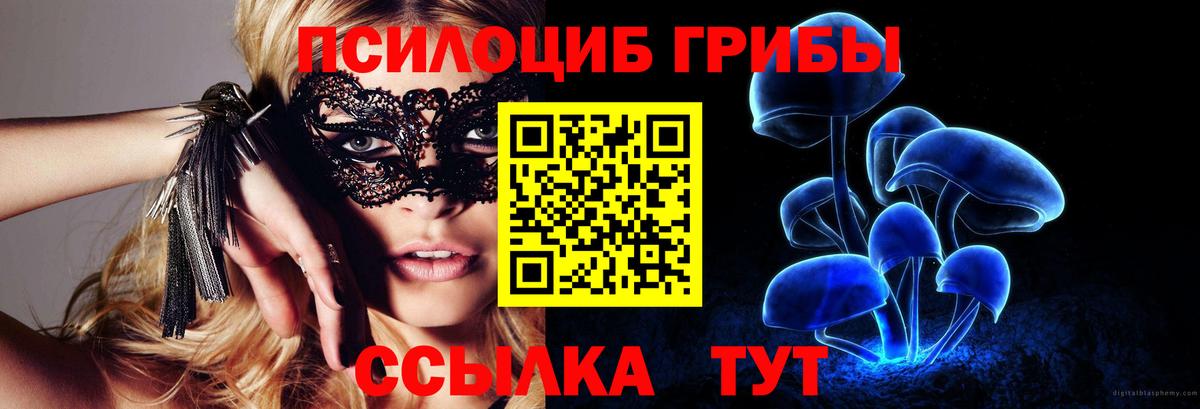 Псилоцибиновые грибы прущие грибы Сосновоборск